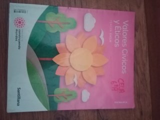 Lote libros de 6° primaria Santillana