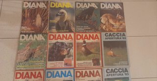 11 riviste Diana + 3 Caccia dal 1981 al85