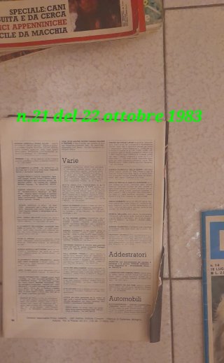 11 riviste Diana + 3 Caccia dal 1981 al85