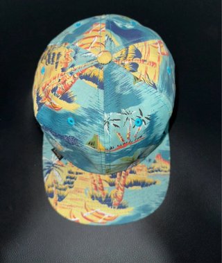 Gorra Obey Surf