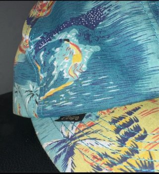 Gorra Obey Surf