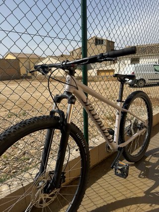 Specialized Rockhopper Montaña