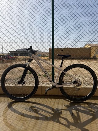 Specialized Rockhopper Montaña