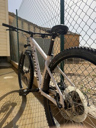 Specialized Rockhopper Montaña