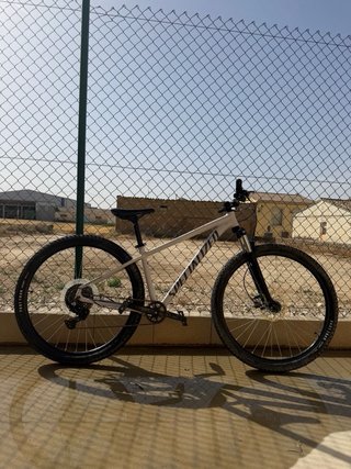 Specialized Rockhopper Montaña