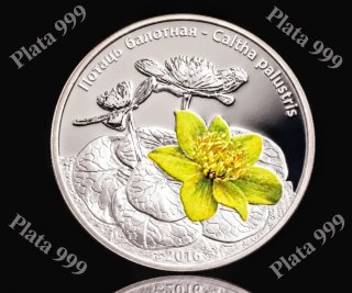 Moneda 20 Rublos Bielorrusia 2014