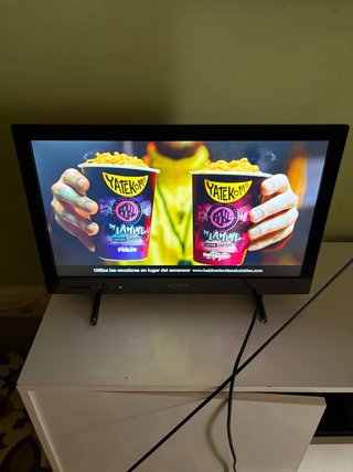 Televisor Sony Pantalla Plana