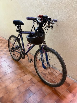 Bicicleta Montaña Urbana Morada