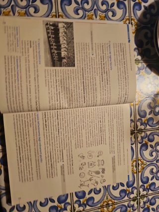 Nuovo terzo tempo 1 corso di diritto economia