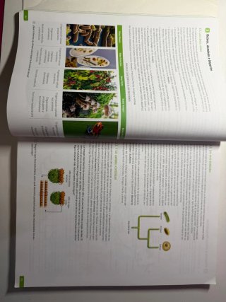 Libro de texto 1° bachillerato