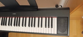 Teclado digital Yamaha Piaggero NP12