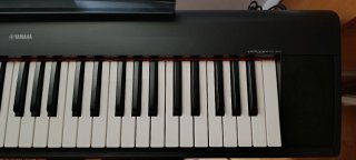 Teclado digital Yamaha Piaggero NP12