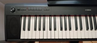 Teclado digital Yamaha Piaggero NP12