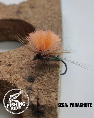 Moscas secas para pesca a mosca (#2)