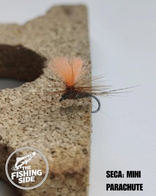 Moscas secas para pesca a mosca (#2)