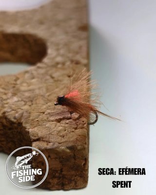 Moscas secas para pesca a mosca (#2)
