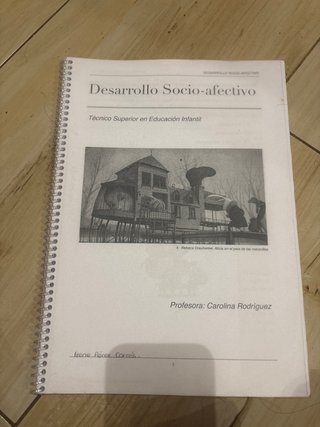 Libro Desarrollo Socio-afectivo