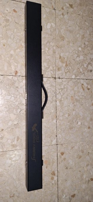 Palo de billar profesional con maletín
