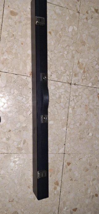 Palo de billar profesional con maletín