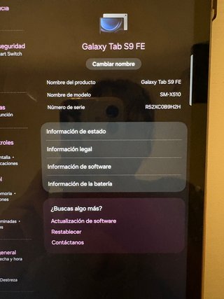 Samsung Galaxy Tab S9 FE + S Pen Grigio