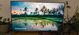 Xiaomi MiTV 55 4K TV