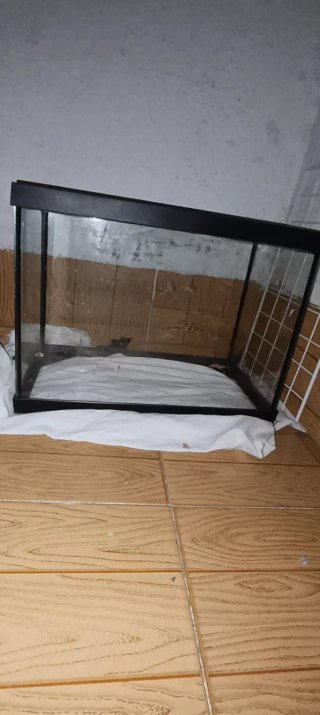 Pecera 20L Negra en perfecto estado
