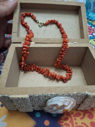Collar de Coral Rojo + Caja Artesanal NUEVO mujer