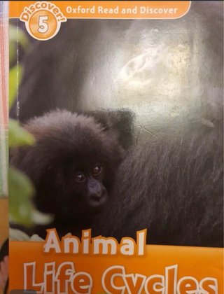 Libros infantiles en ingles