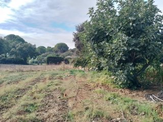 Se vende parcela 5000m2