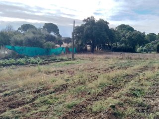 Se vende parcela 5000m2