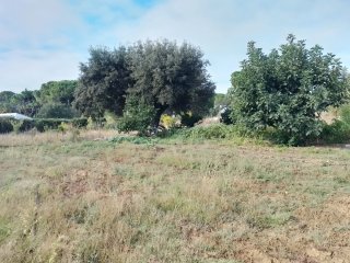 Se vende parcela 5000m2
