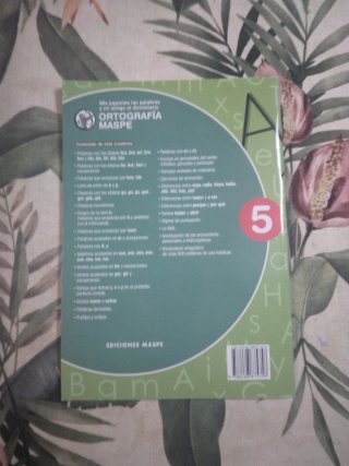 Ortografía Maspe 5