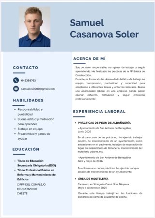 Cuidador de niños