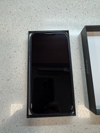 iPhone 13 Pro Max 256 GB Gris espacial