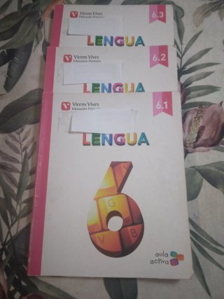 Lengua 6to de Primaria Aula Activa Vicens Vives