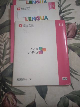 Lengua 6to de Primaria Aula Activa Vicens Vives