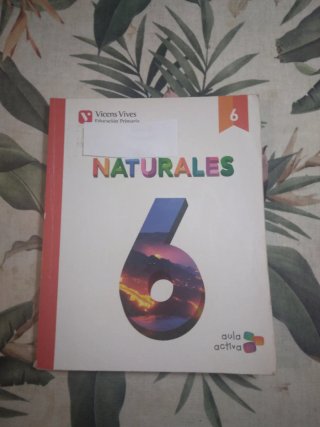 Naturales 6to Primaria Vicens Vives