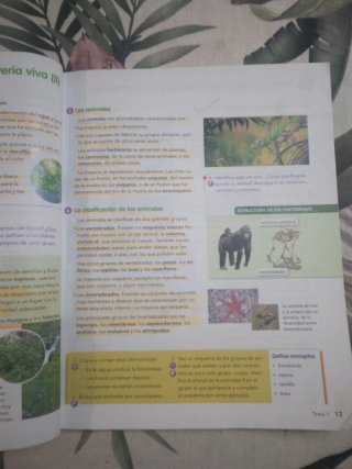 Naturales 6to Primaria Vicens Vives