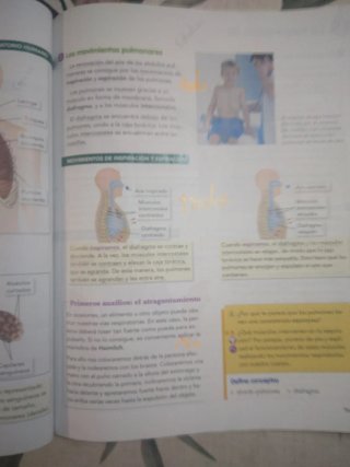 Naturales 6to Primaria Vicens Vives