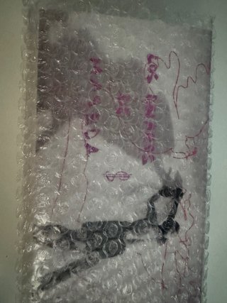 Dólares de Maseda Picasso, Jocker, Einstein...