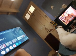 Xiaomi A Pro 55 Smart TV Único fallo no hay mando