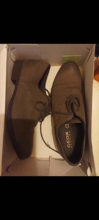 Zapatos Geox Marrones/Grises