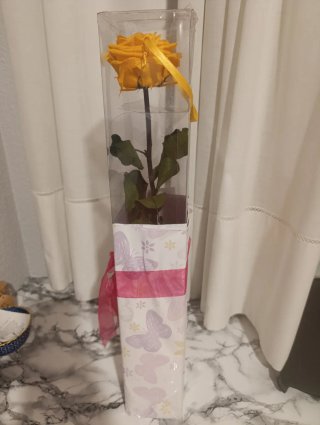 Rosa Amarilla Eterna Preservada