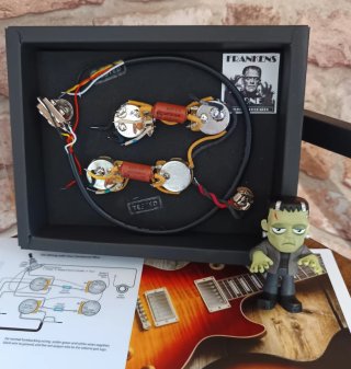 Kit precableado para guitarra eléctrica Les Paul.