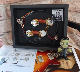 Kit precableado para guitarra eléctrica Les Paul.