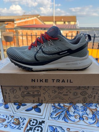 Scarpe Nike React 4 Trail Grigie Rosse