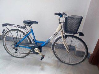 Bicicleta Romani con cesta
