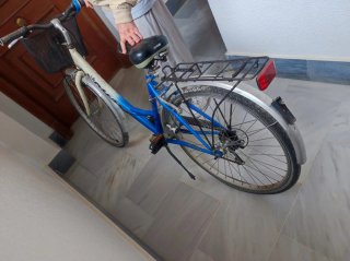 Bicicleta Romani con cesta
