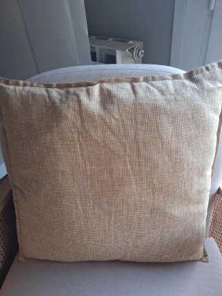 2 Cojines Zara Home Relleno Incluido