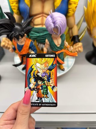 Resina Dragon Ball Krc